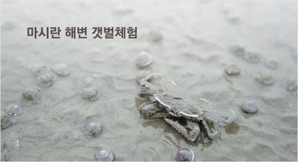 ���ö� �غ� ����ü��