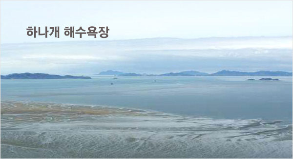 �ϳ��� �ؼ�����