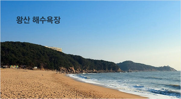 �ջ� �ؼ�����